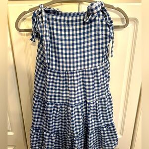 Pink Lily Blue Gingham Mini Dress